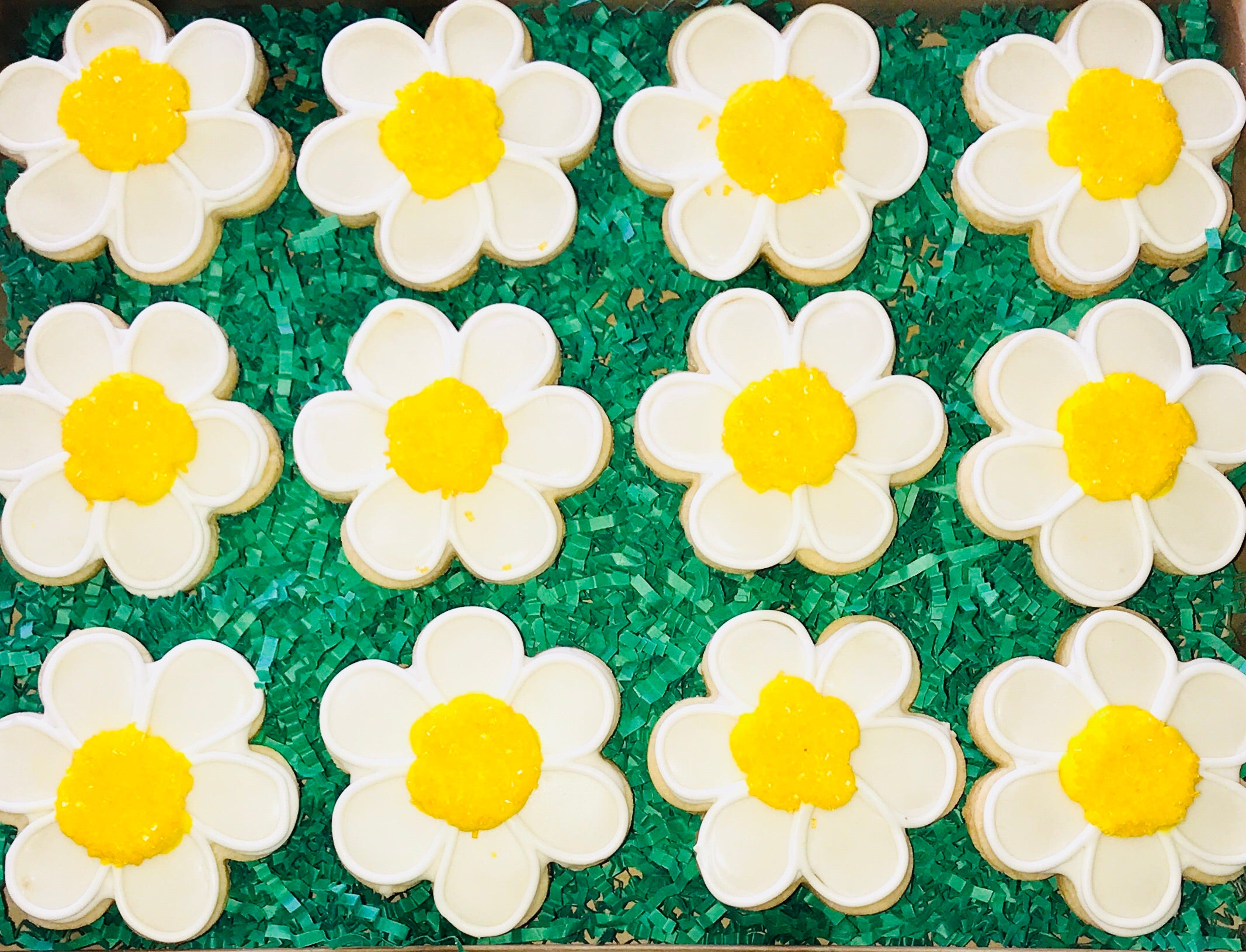 COOKIE BOX JUST BECAUSE DAISIES