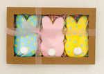 EASTER BUNNY COOKIE GIFT BOX